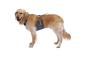 Preview: Load Up™ Harness (New Design) Slate Blue Gr. M Preview: Load Up™ Harness (New Design) Slate Blue Gr. M